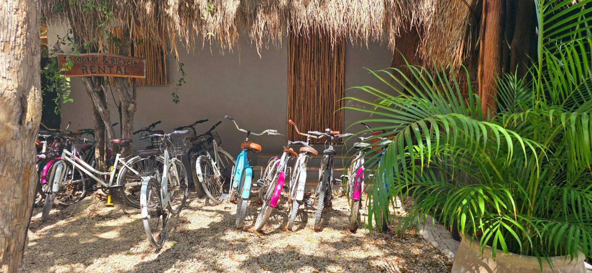 Kin Jungle Deluxe * Tulum