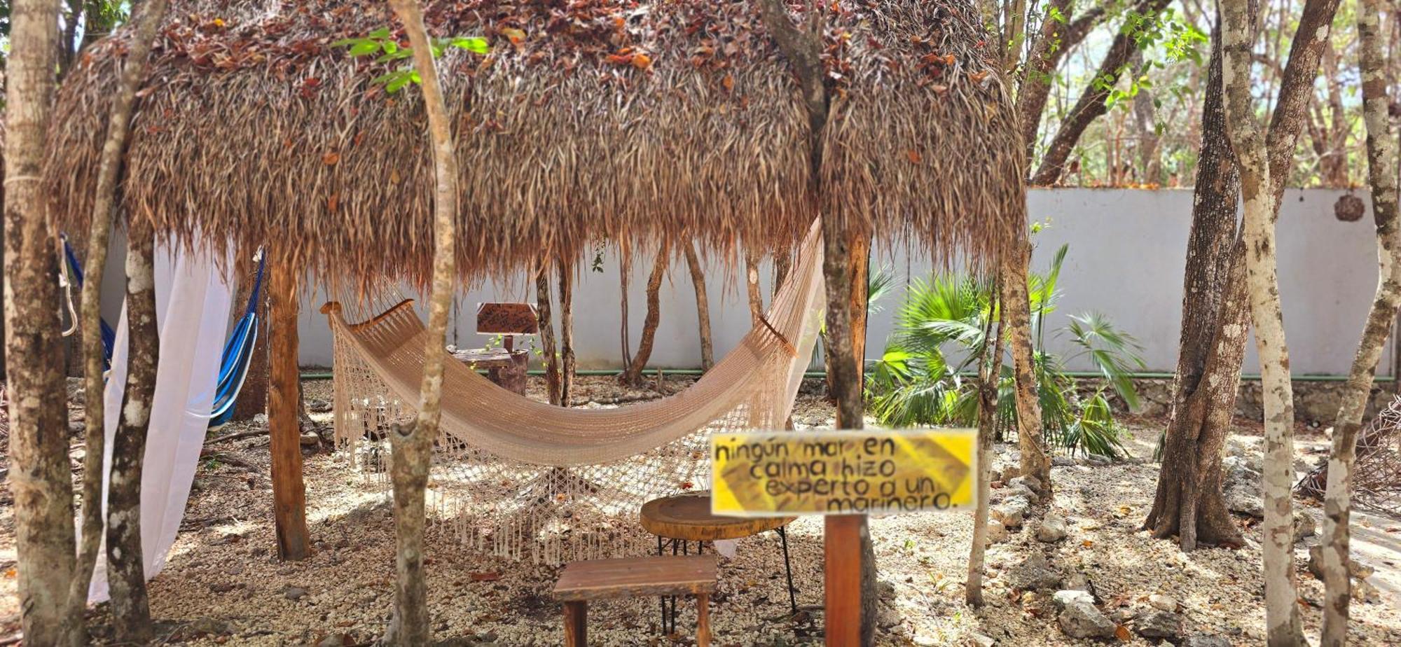 Kin Jungle Deluxe