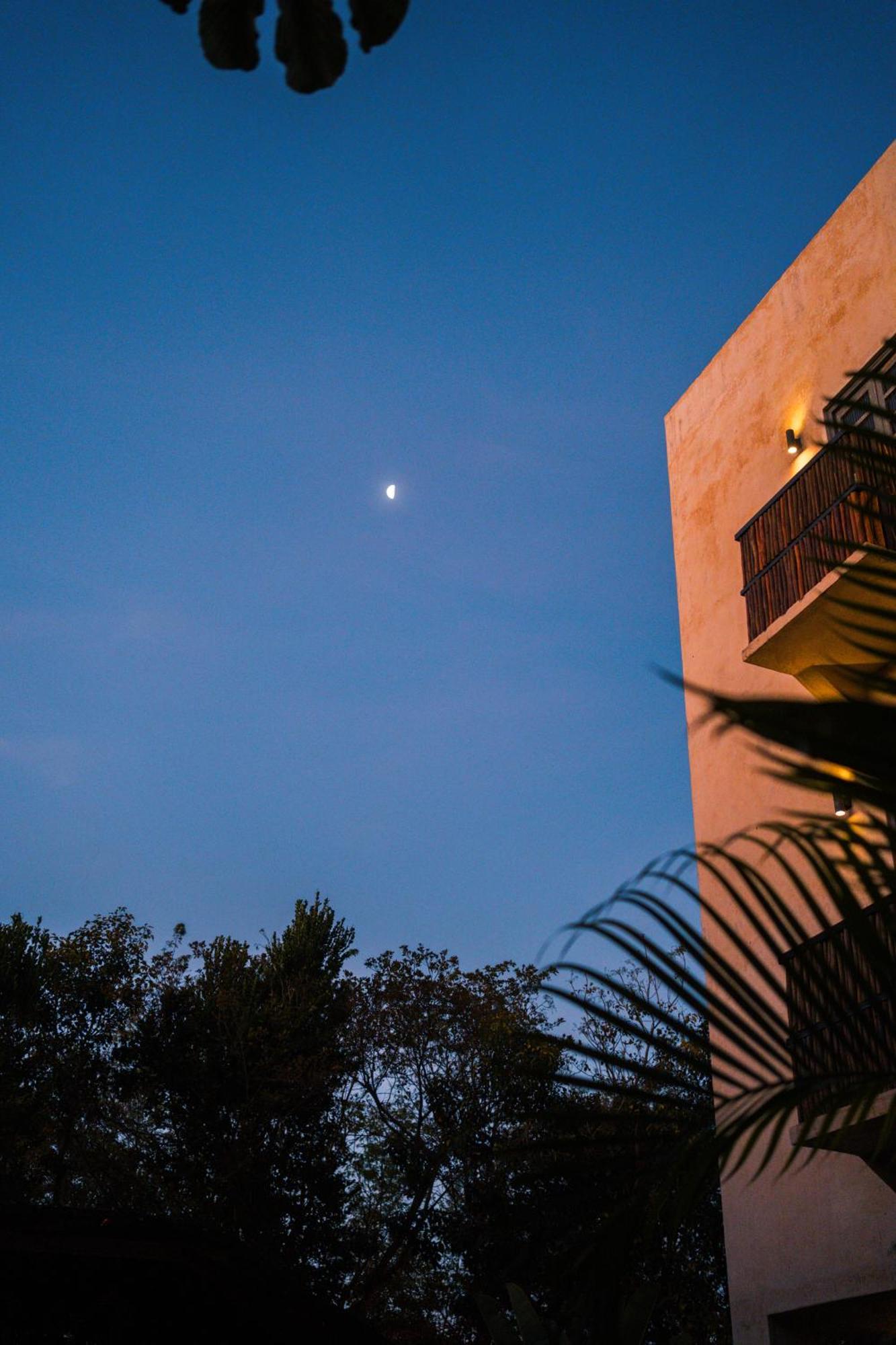 Botanica Hotel