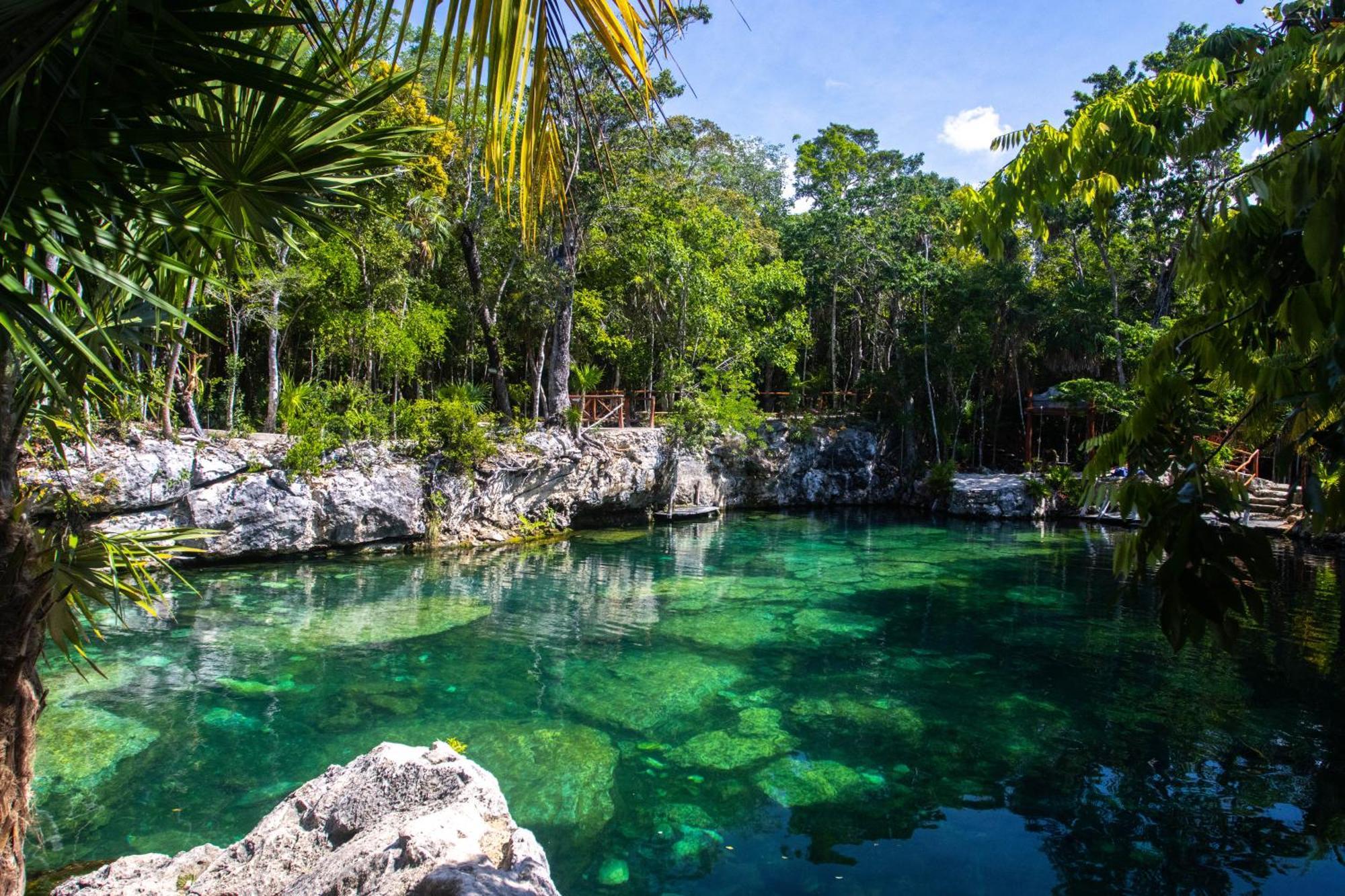Casa Tortuga - Cenotes Park Inclusive Tulum