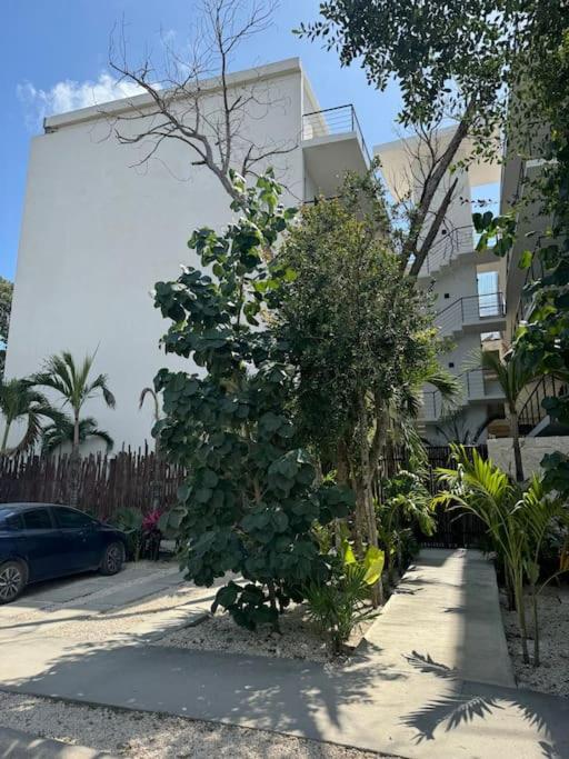 Departamento En Tulum, Solum Living Apartamento *