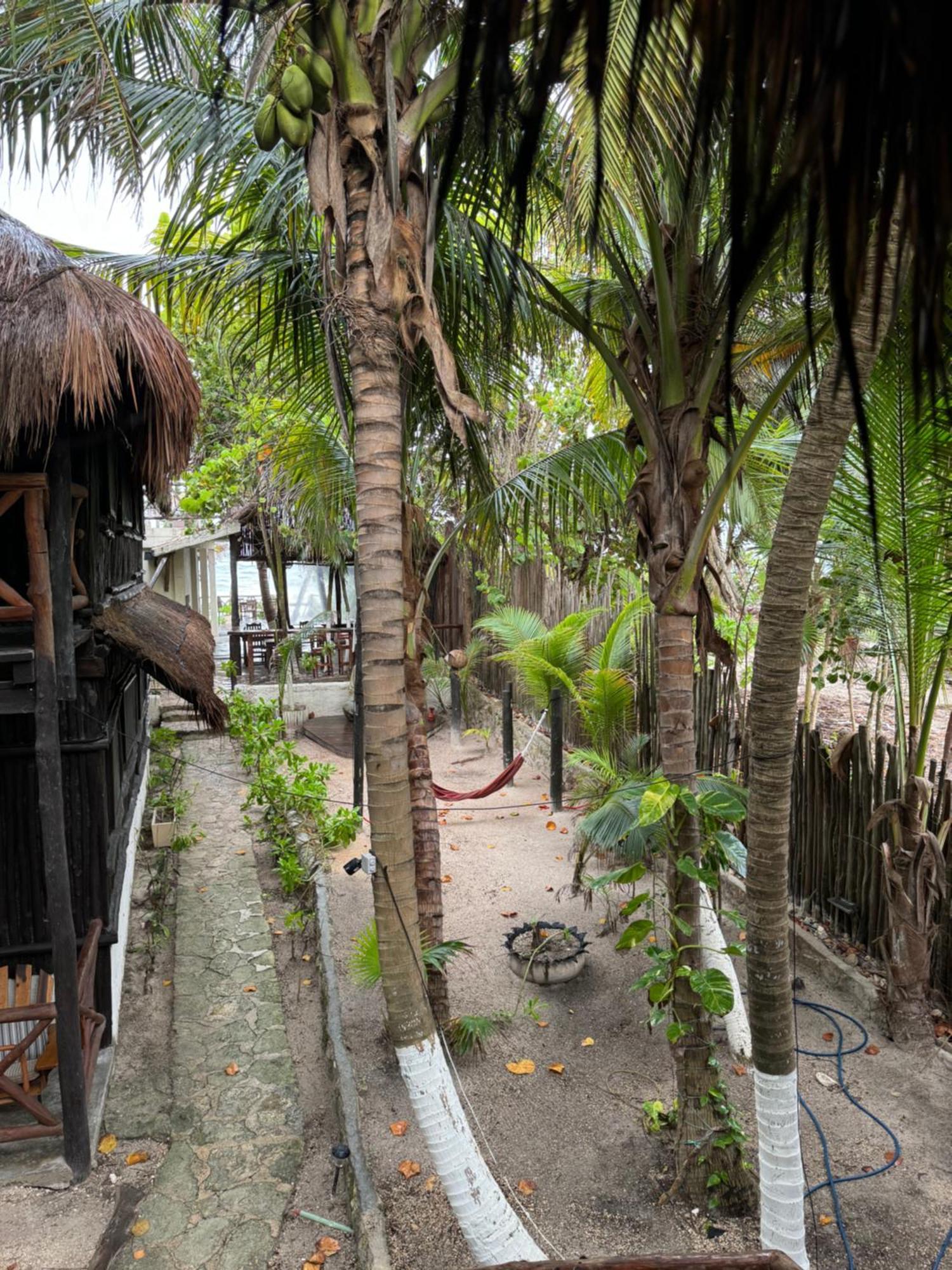 Sivana 3* Tulum