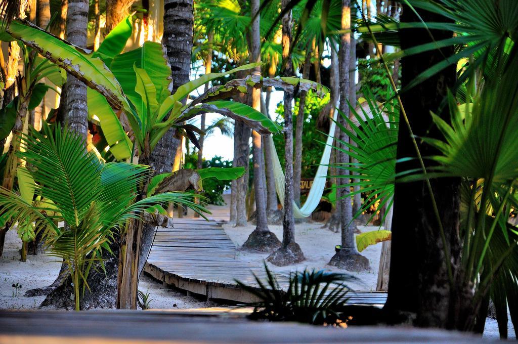 Hotel Rosa Del Viento