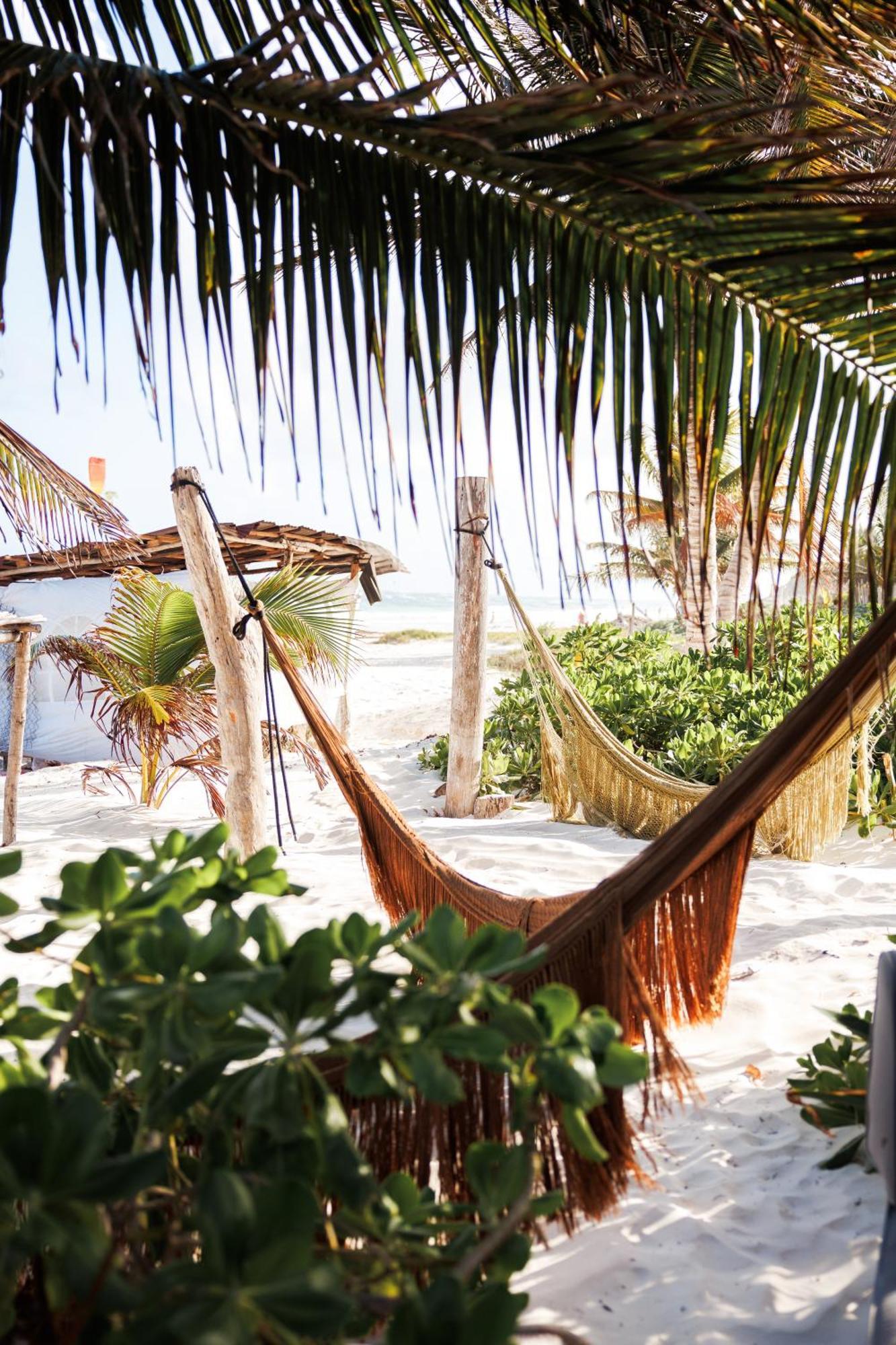 Orchid House Jungle 5* Tulum