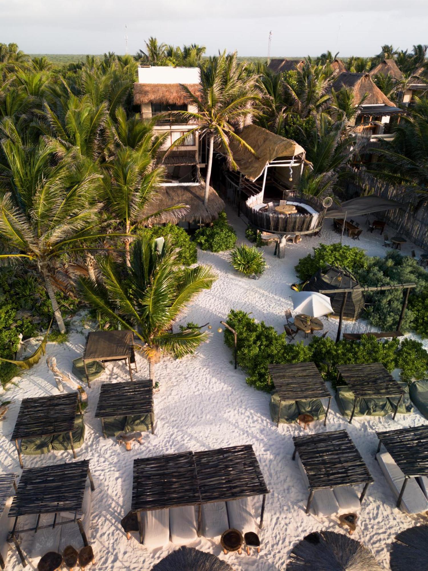 Hotel Orchid House Jungle 5*