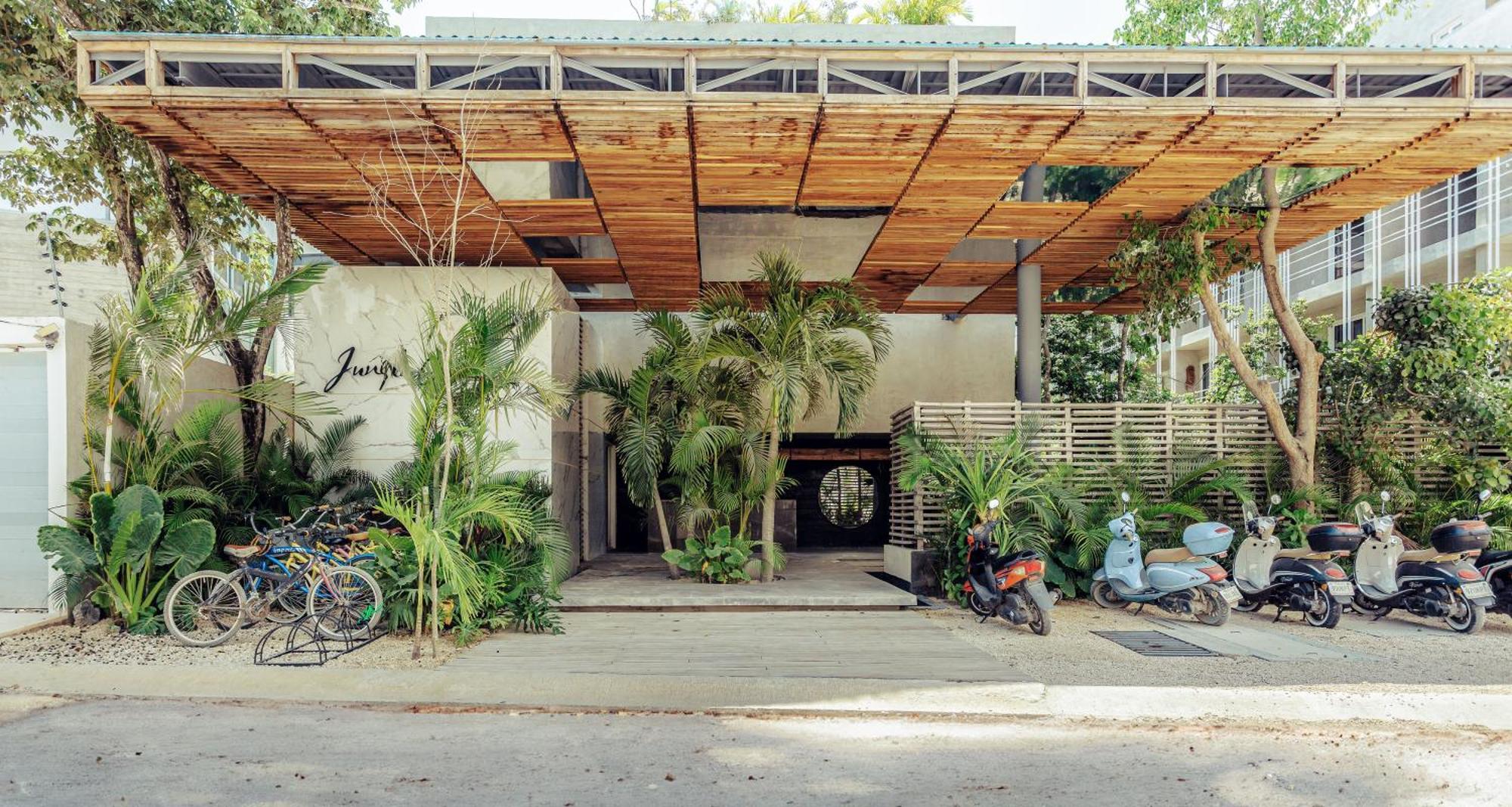 Jungle Treasure In Apartamento *