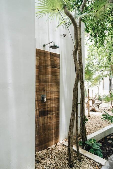 Villa Luxury Villa, 4 Pools - Club - Nocturna Sahara Tulum