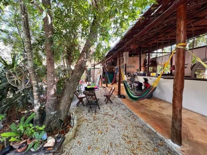 Mulut Hotel Tulum