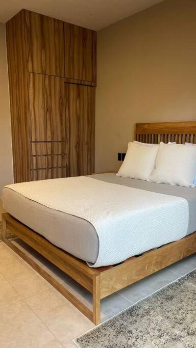 Departamento Aldea Zama
