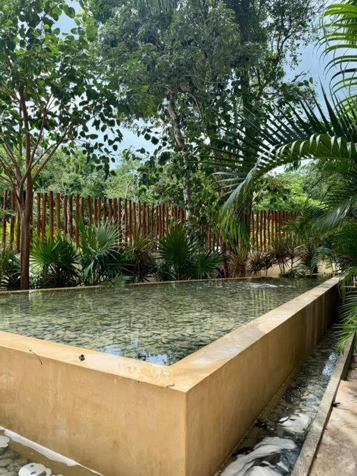 Hermoso Estudio Con Jacuzzi Privado En Ir26 Apartamento Tulum
