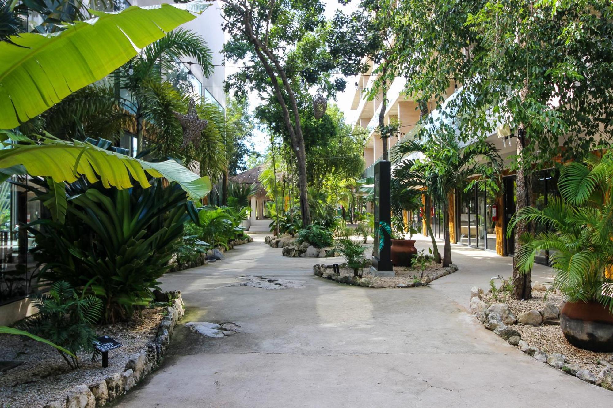 Apartamento Modern With Rooftop Pool In Downtown *