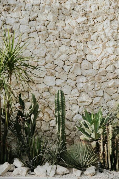 Design Casa Sandalo With Private Pool And Lounge Apartamento Tulum