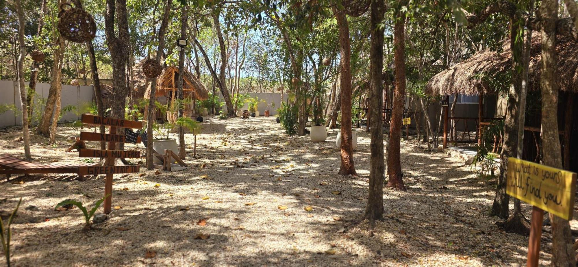 Pensión Kin Jungle Deluxe *