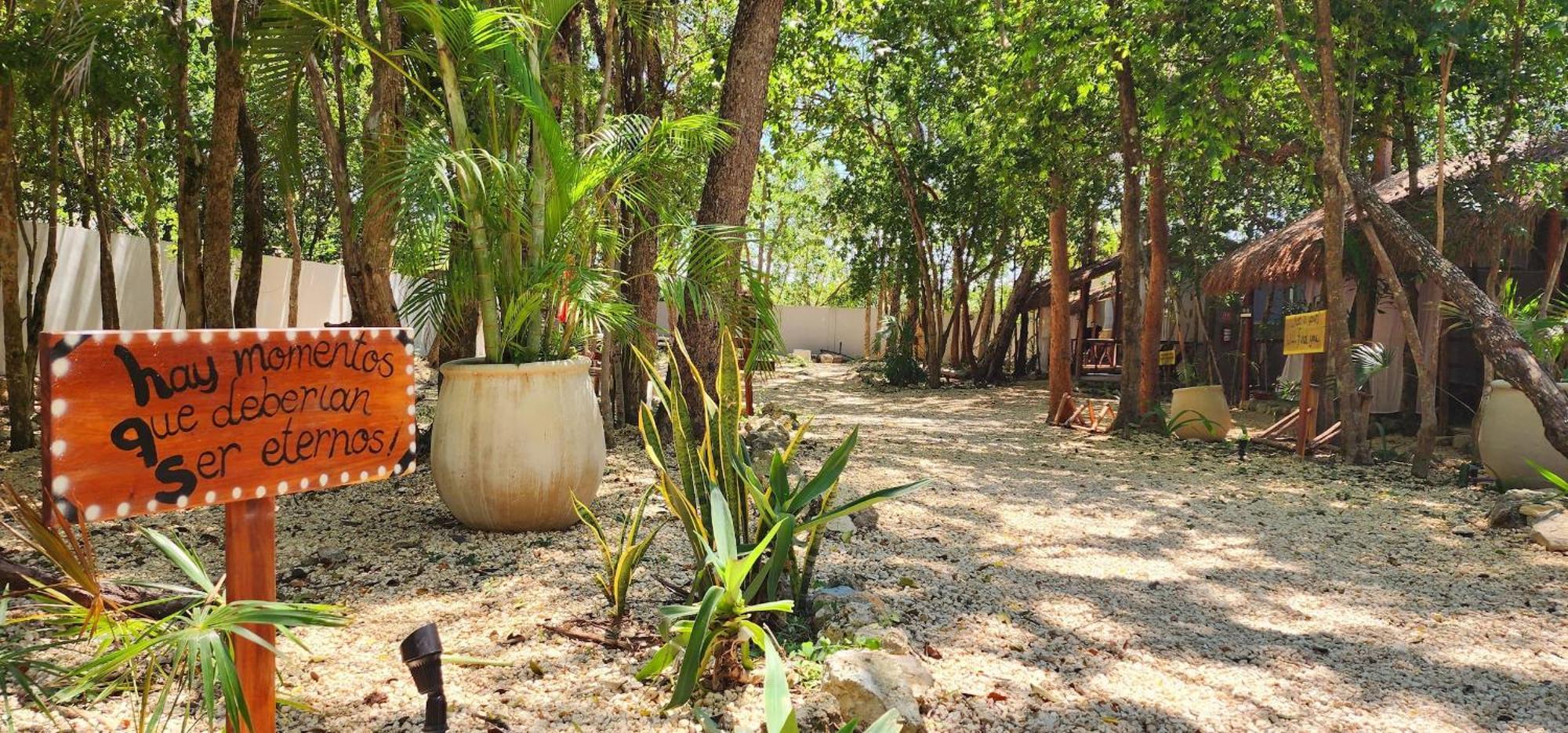 Kin Jungle Deluxe Pensión Tulum