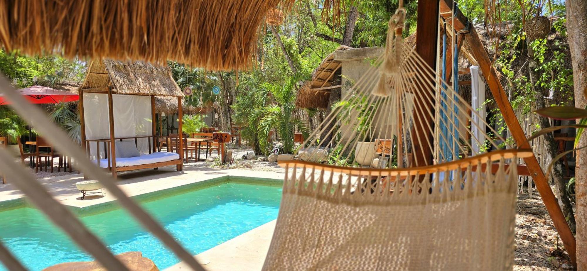 Kin Jungle Deluxe Pensión *