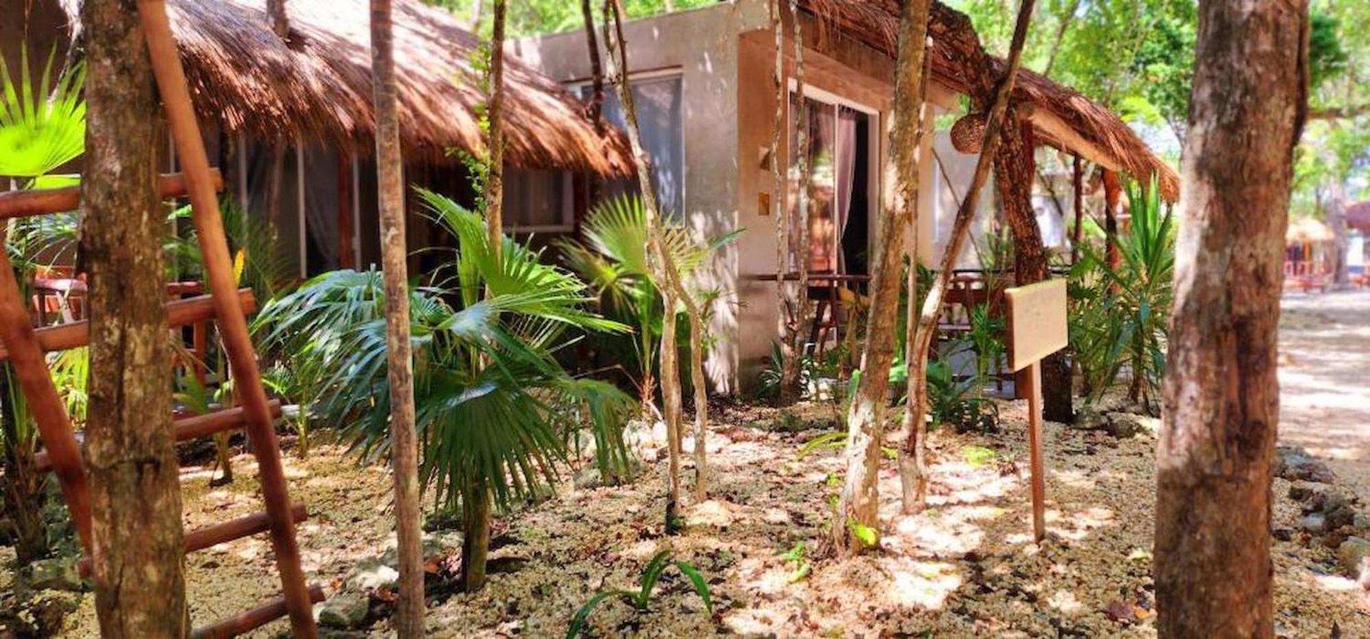 Kin Jungle Deluxe
