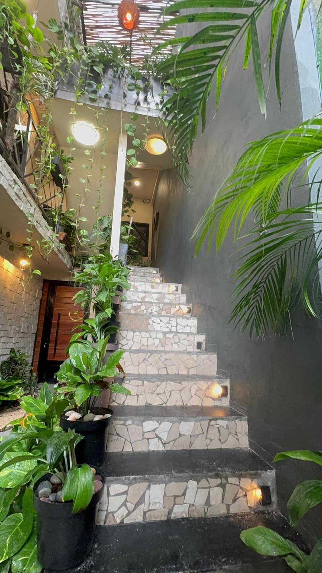 Apartamento Estudio Nikte