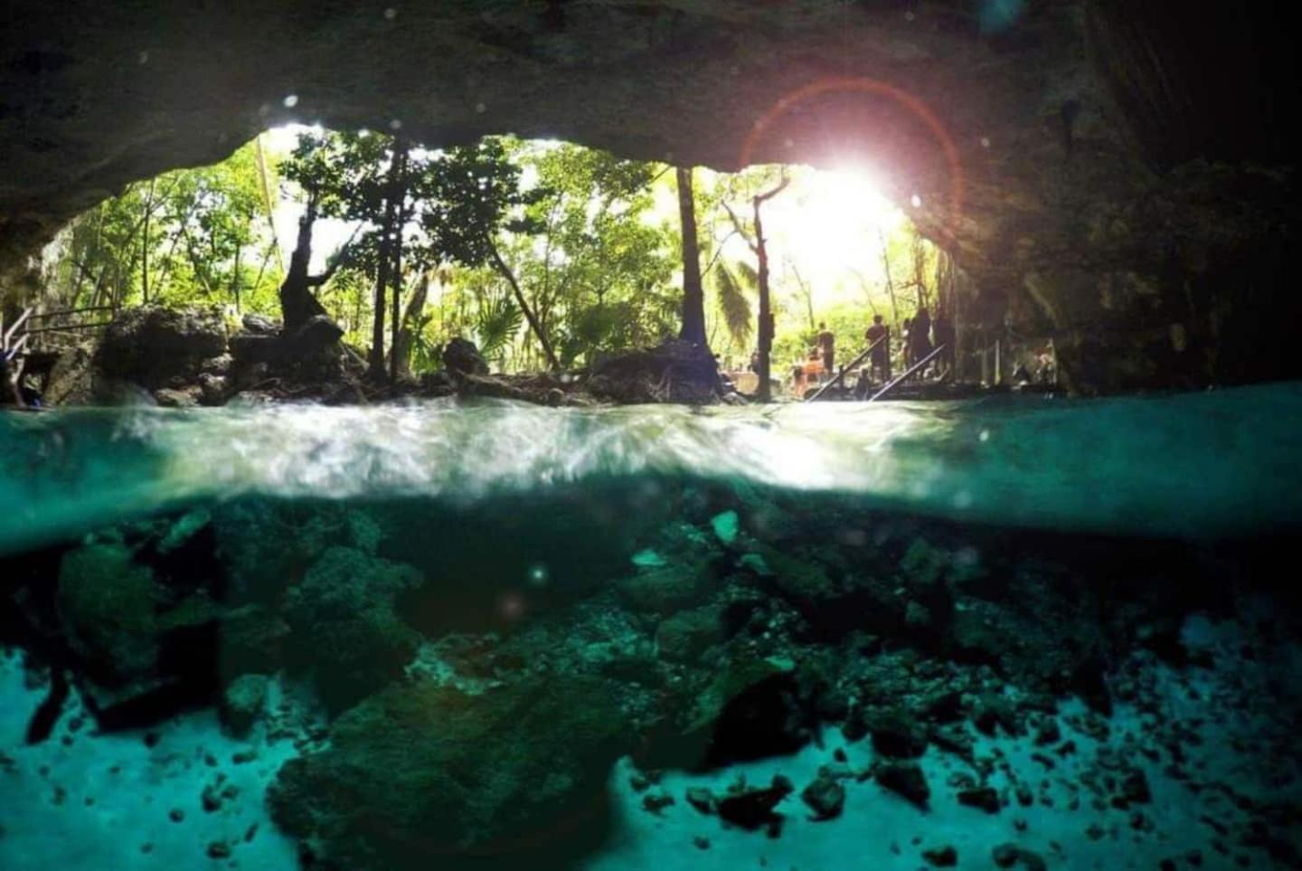 Campo de lujo En La Selva De
