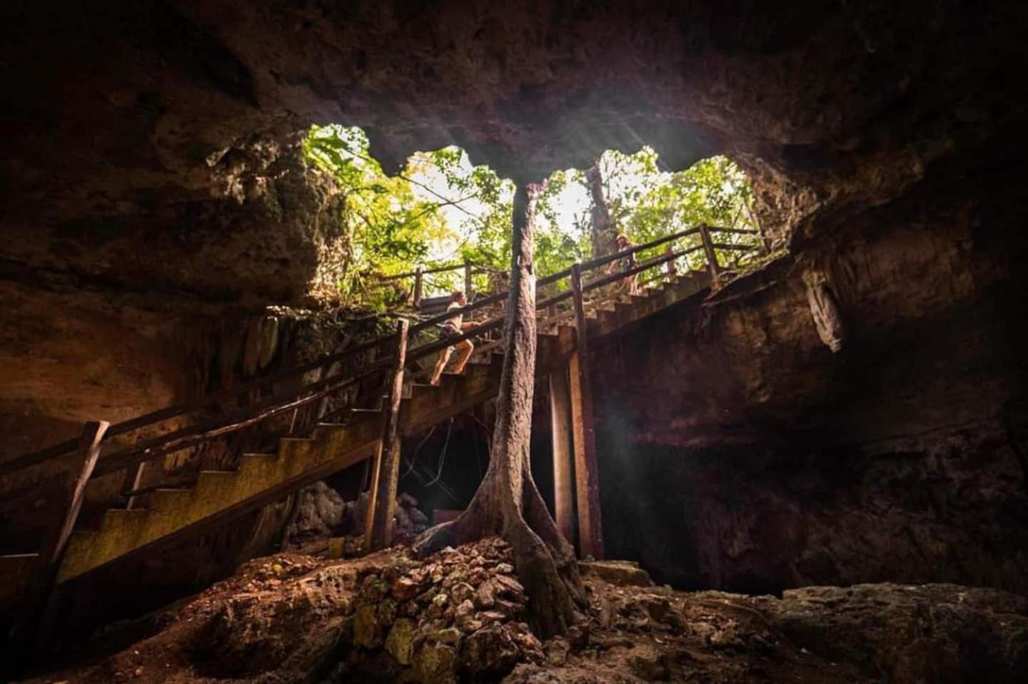 En La Selva De * Tulum