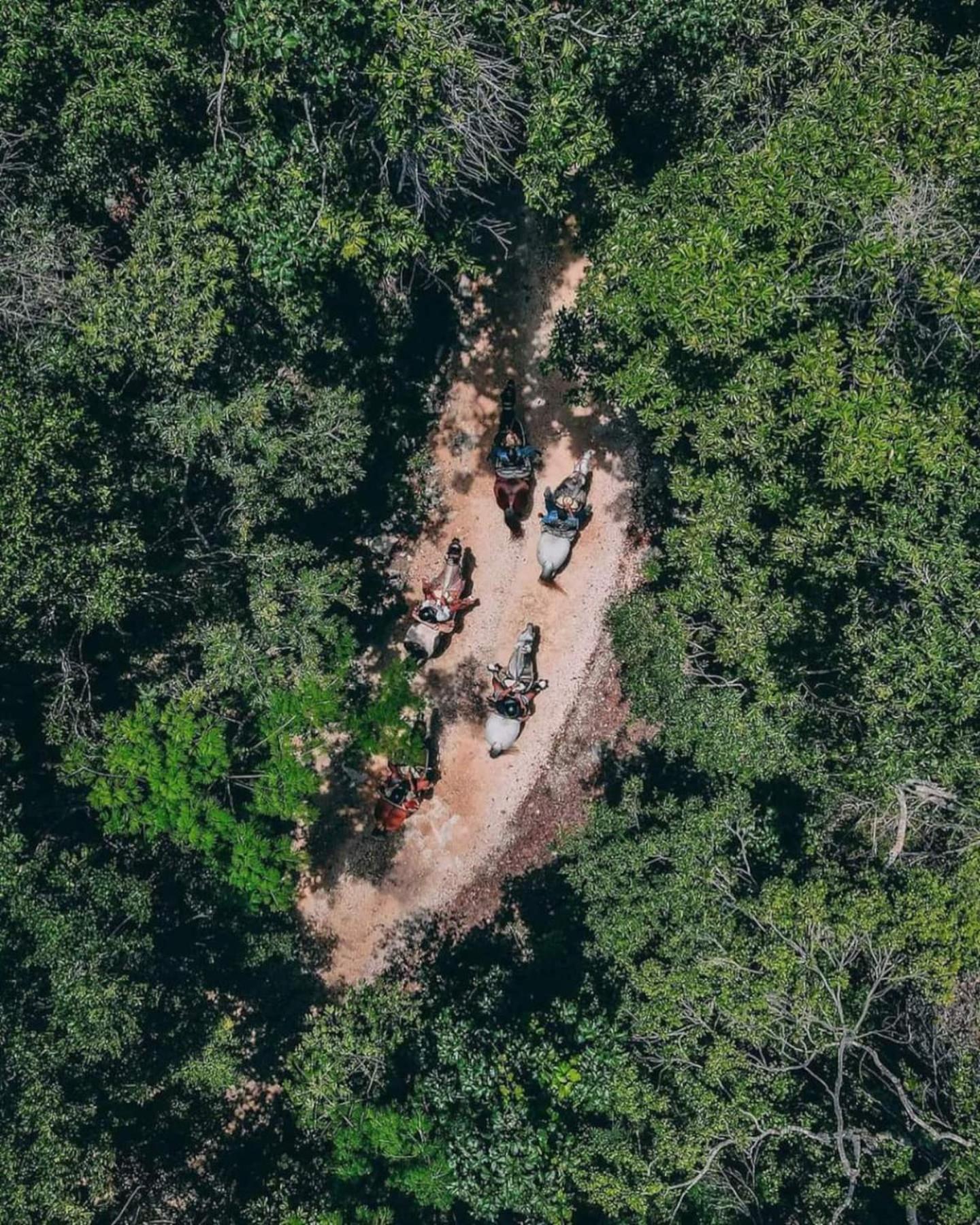 En La Selva De Campo de lujo Tulum