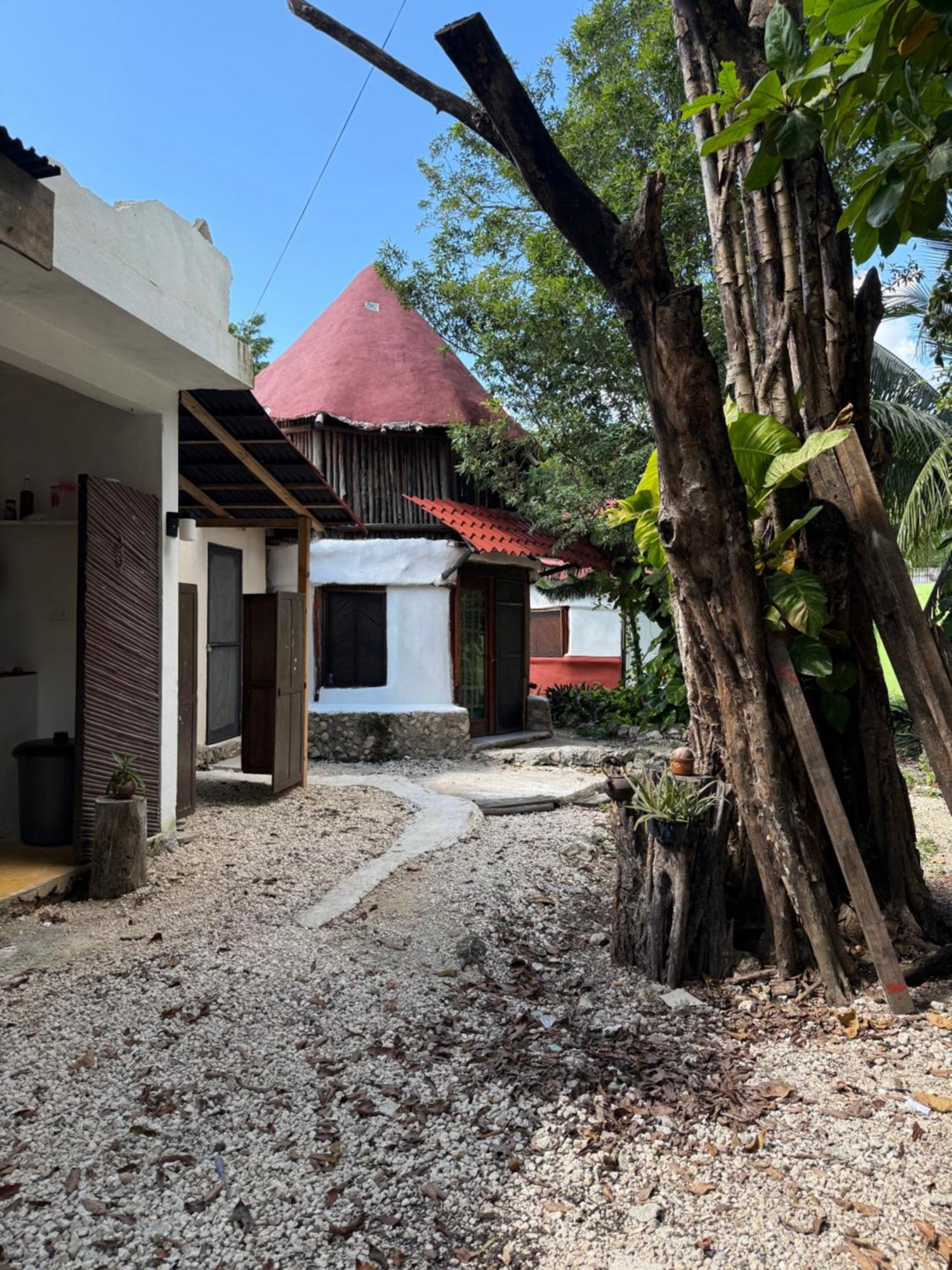 Tree House Guest house Tulum