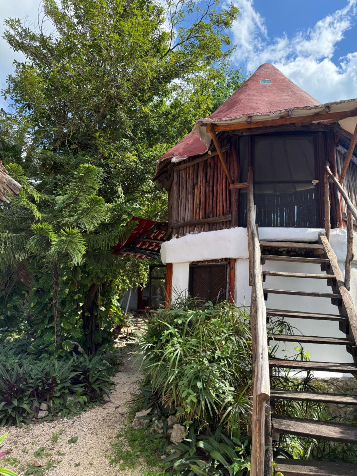 Tree House Guest house