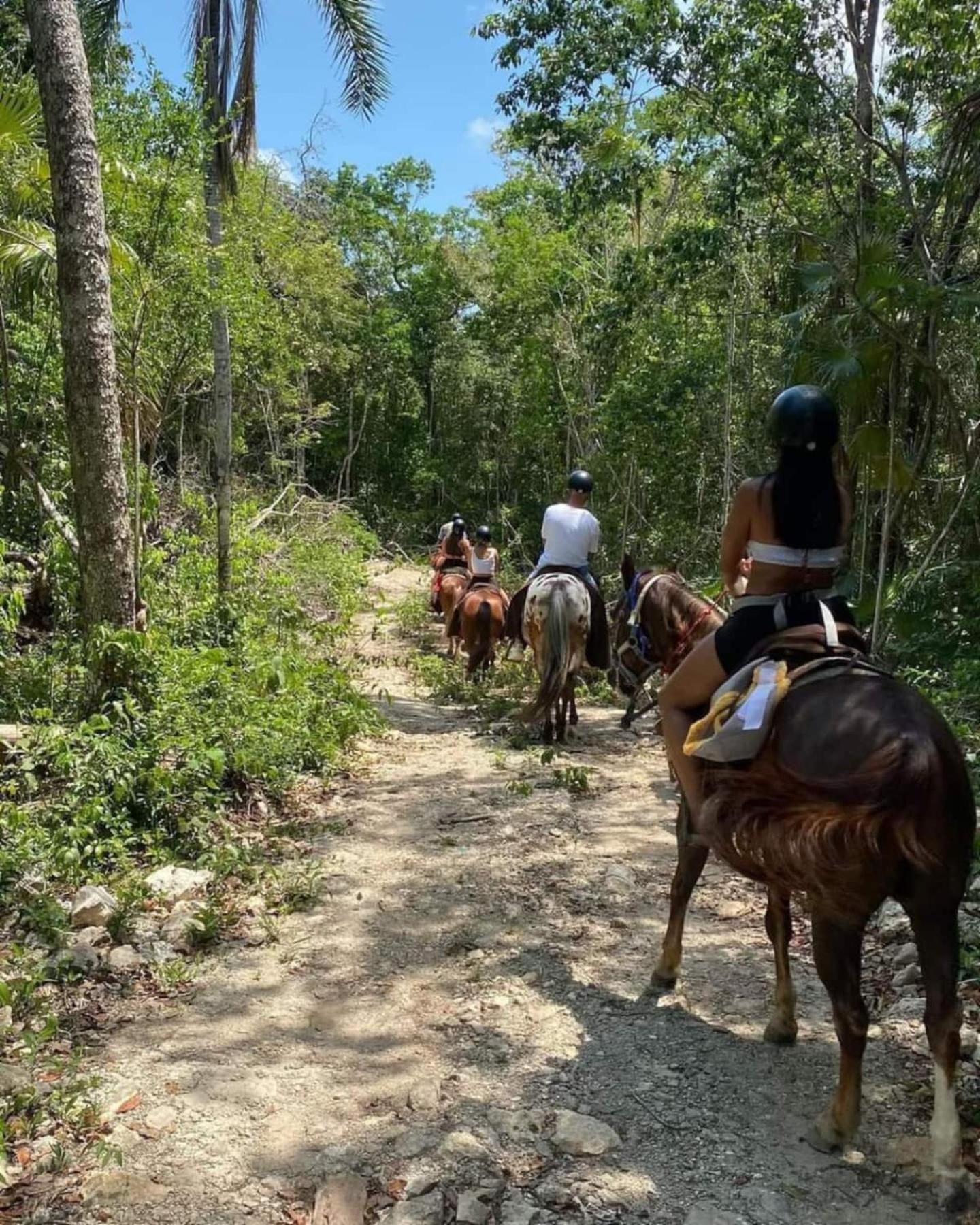 Campo de lujo En La Selva De