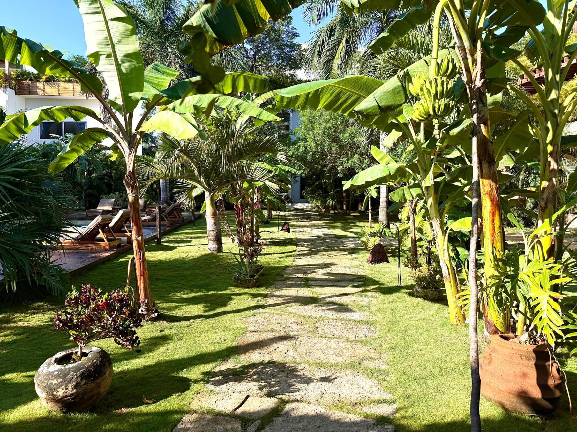 Xscapetulum 4* Tulum