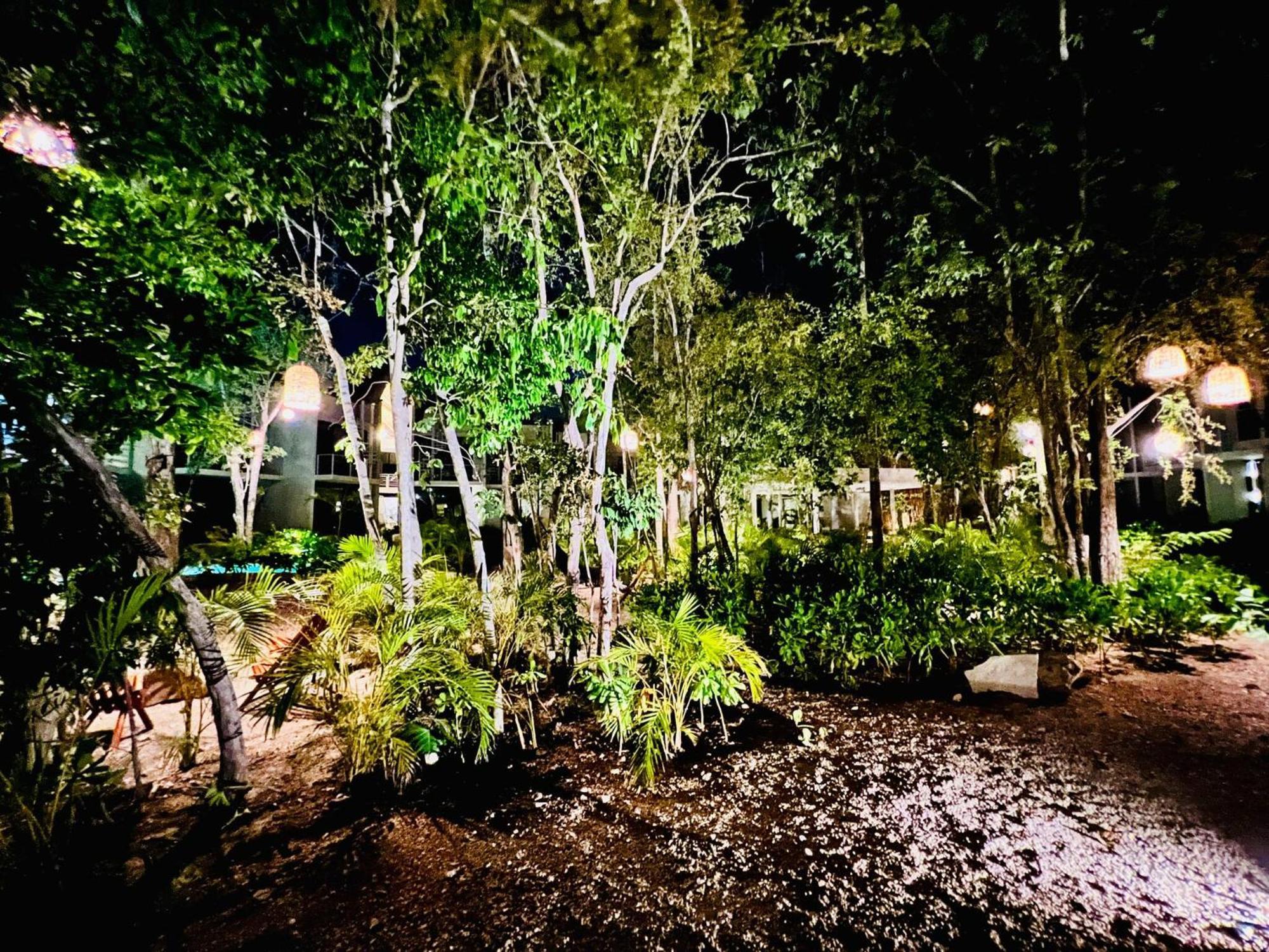 403 Seremonia Selva Private Pool New King Bed Wifi Tulum