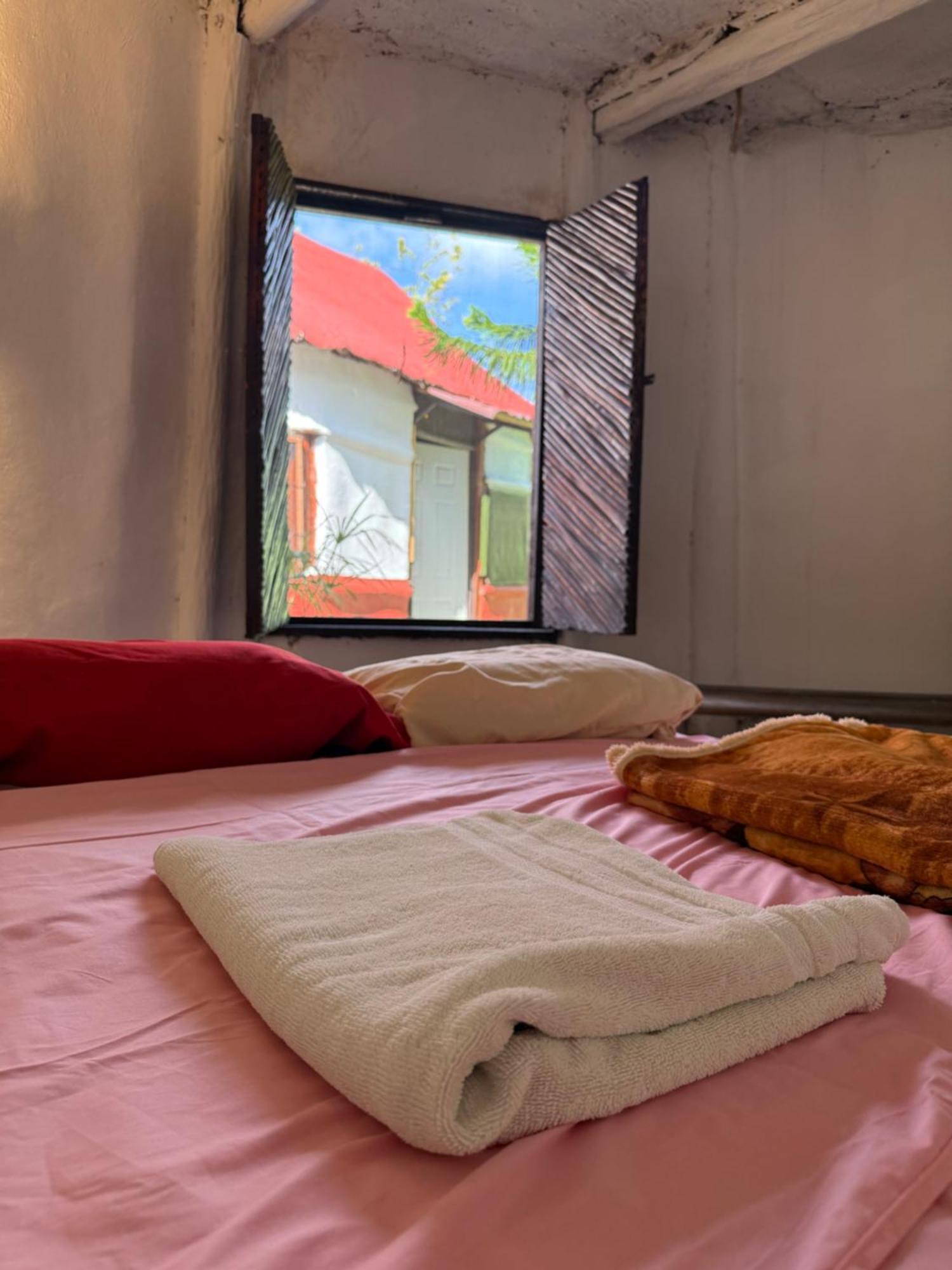 Guest house Tree House Tulum