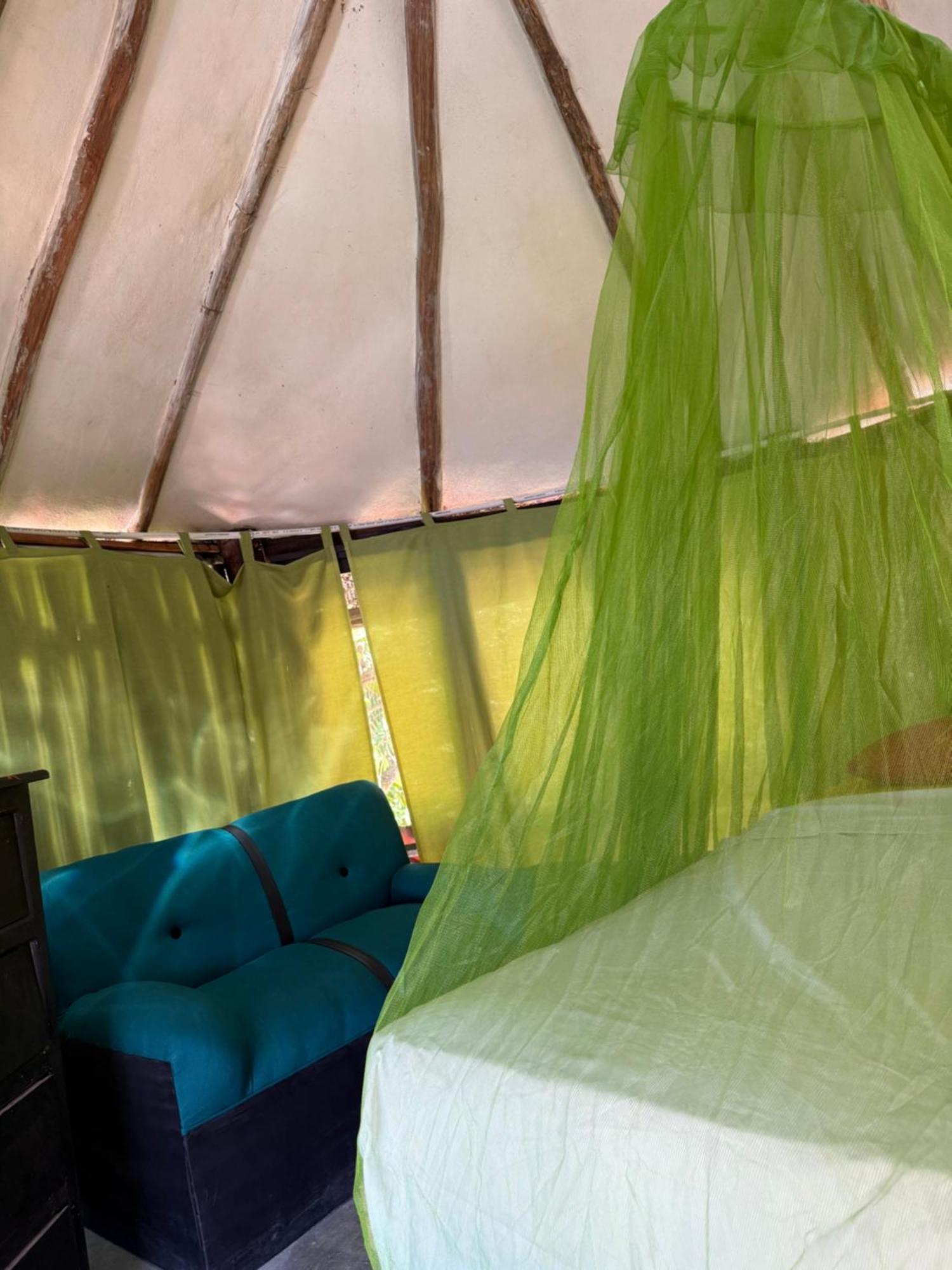 Tree House Tulum