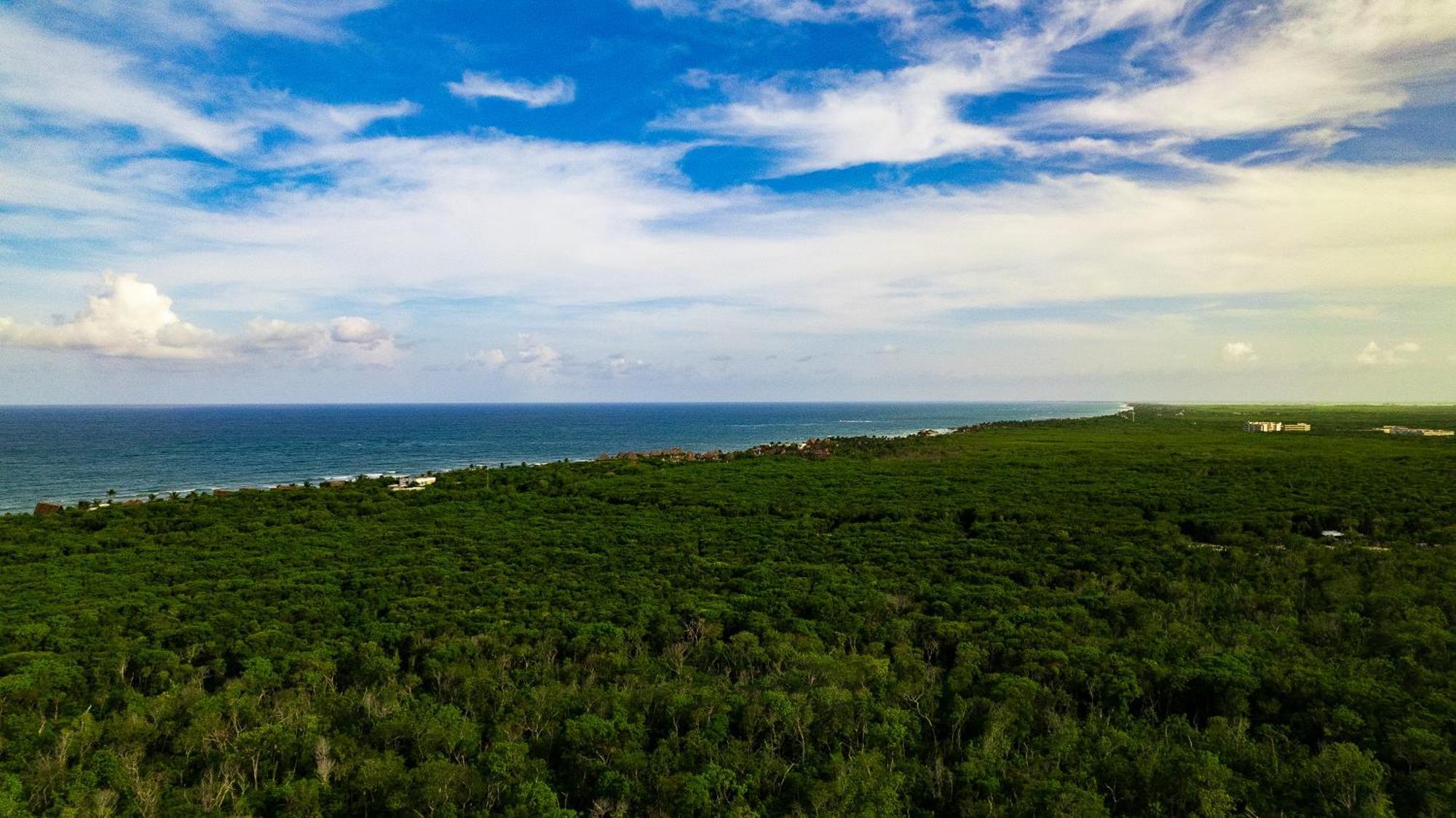 Co.bañitas Tulum