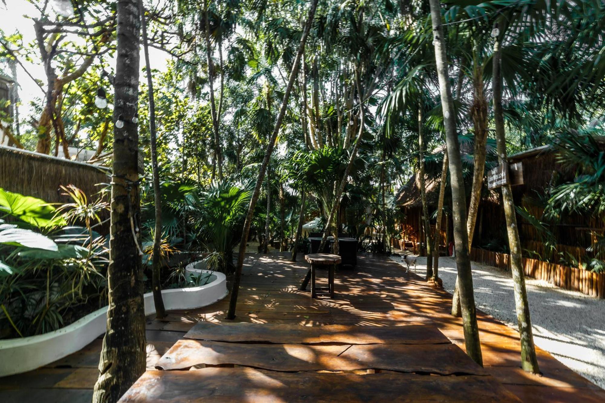 Co.bañitas Hotel