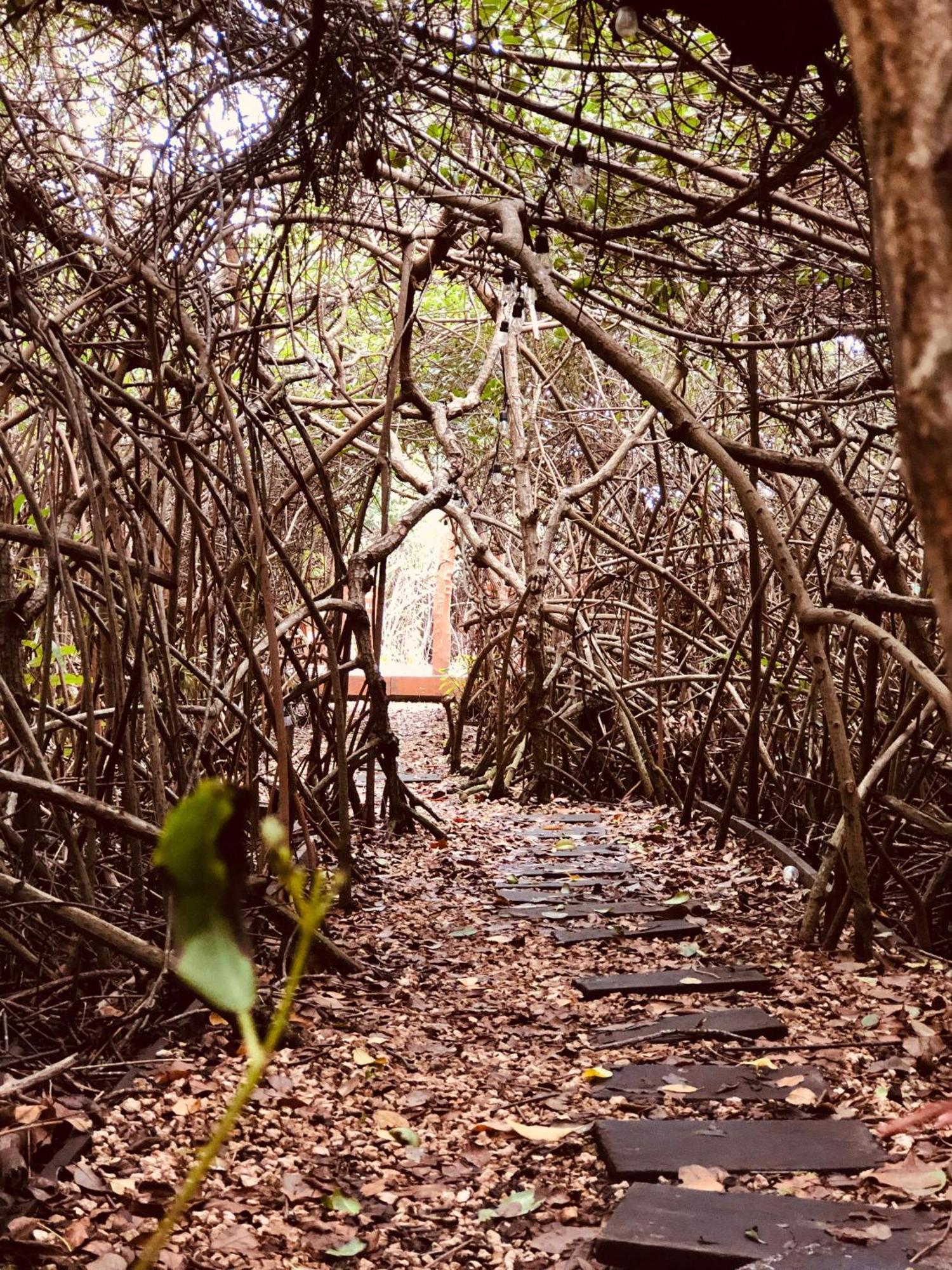- Aldea Mangle & Cenote Lodge