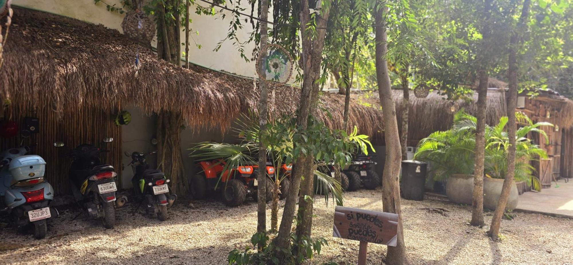 Kin Jungle Deluxe *
