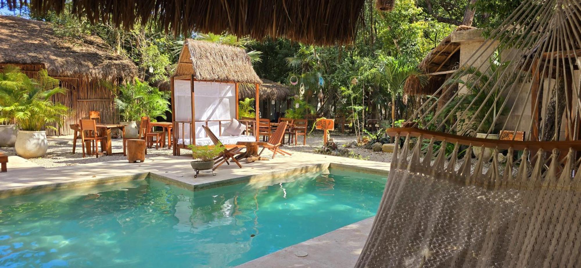 Kin Jungle Deluxe Pensión *