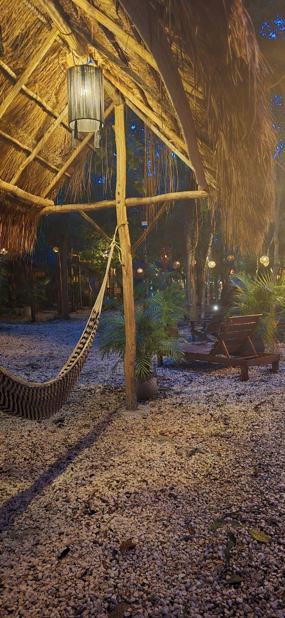 Kin Jungle Deluxe Pensión