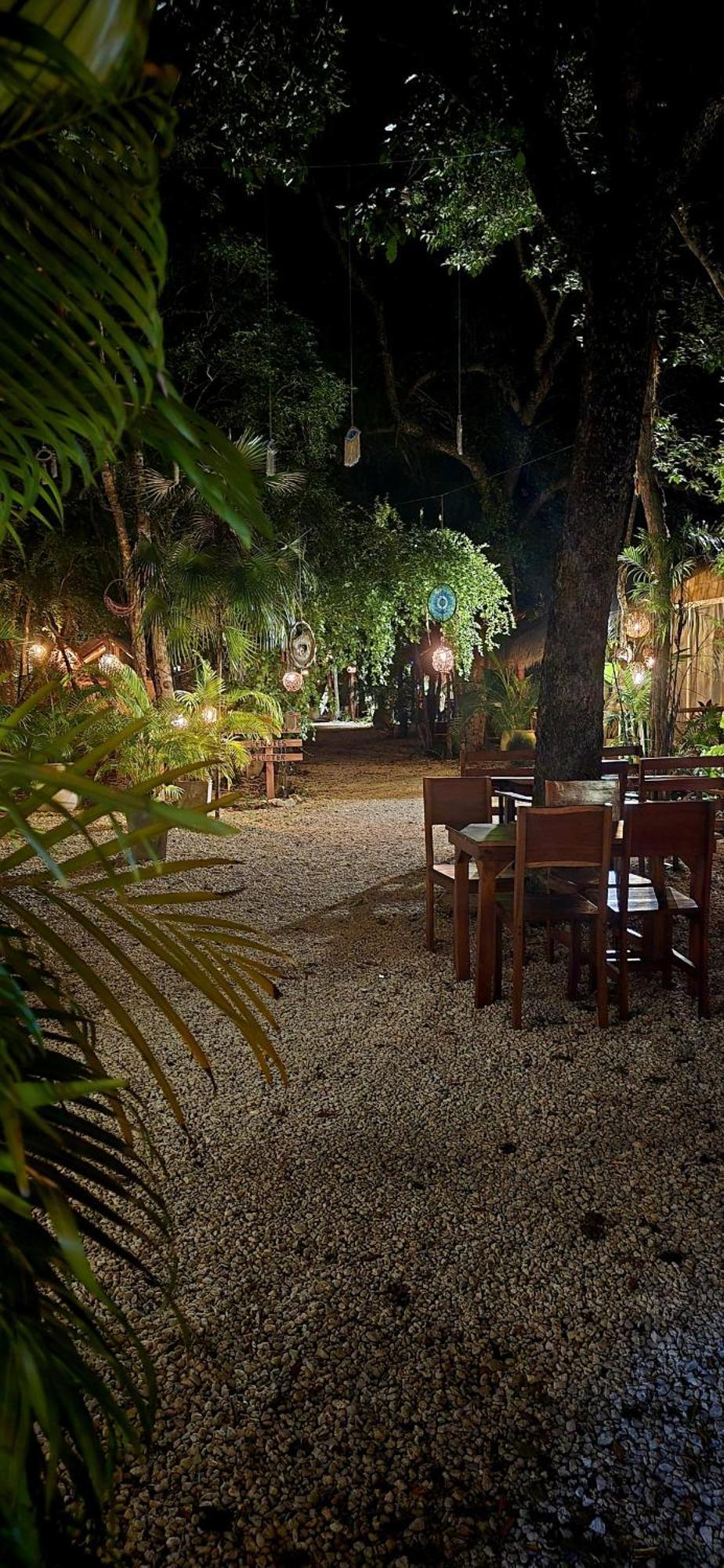 Kin Jungle Deluxe Pensión *