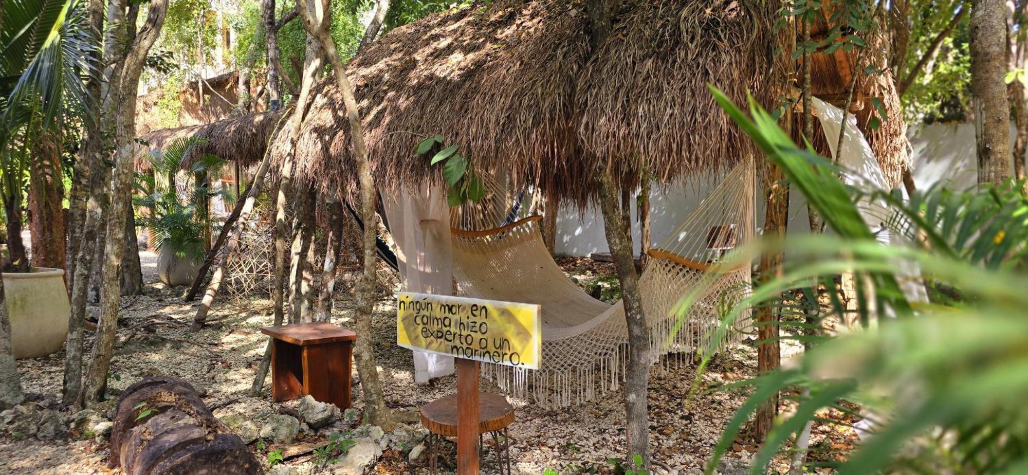 Pensión Kin Jungle Deluxe *