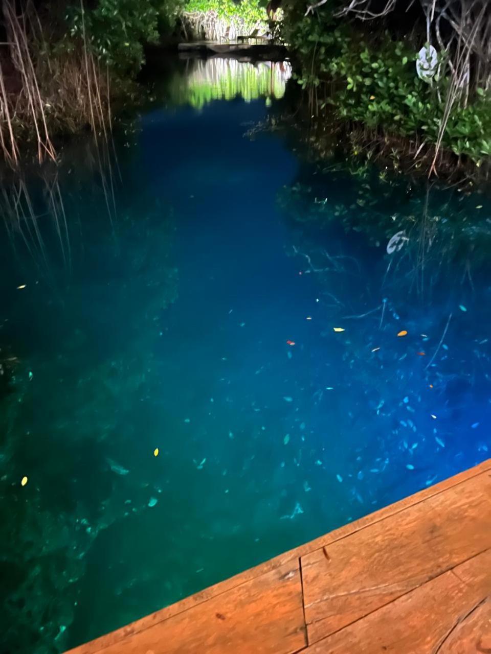 - Aldea Mangle & Cenote Lodge *