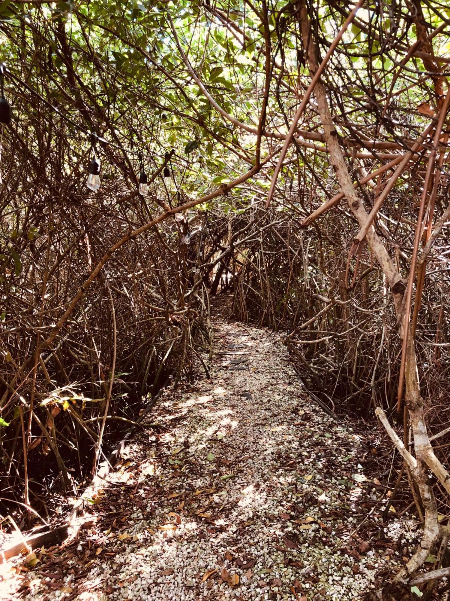 Lodge - Aldea Mangle & Cenote
