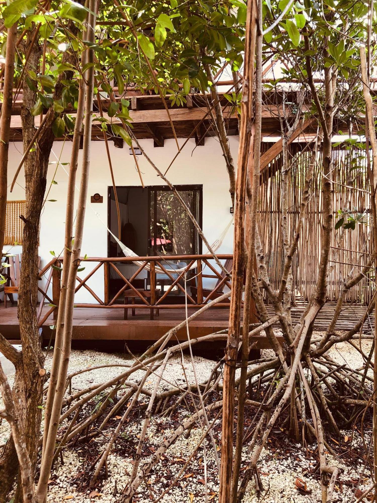 - Aldea Mangle & Cenote Lodge Tulum