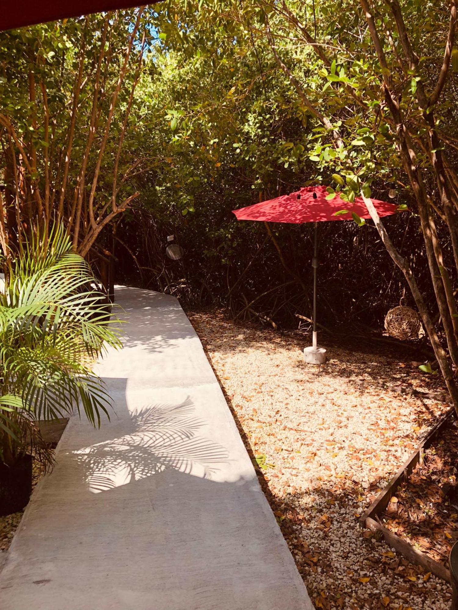 - Aldea Mangle & Cenote Tulum
