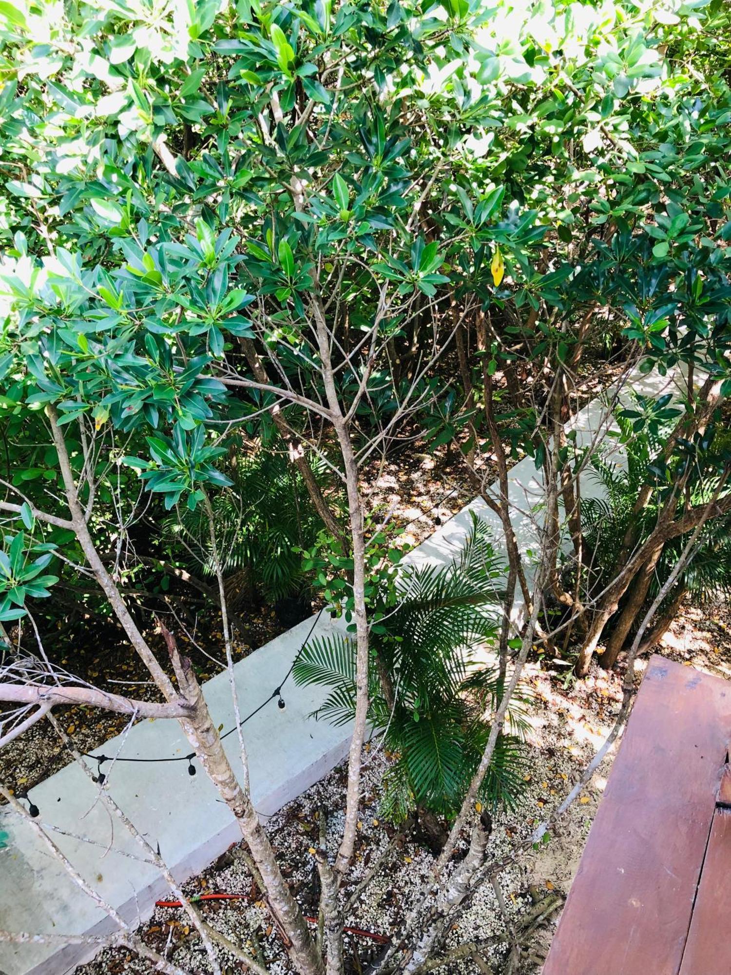 - Aldea Mangle & Cenote