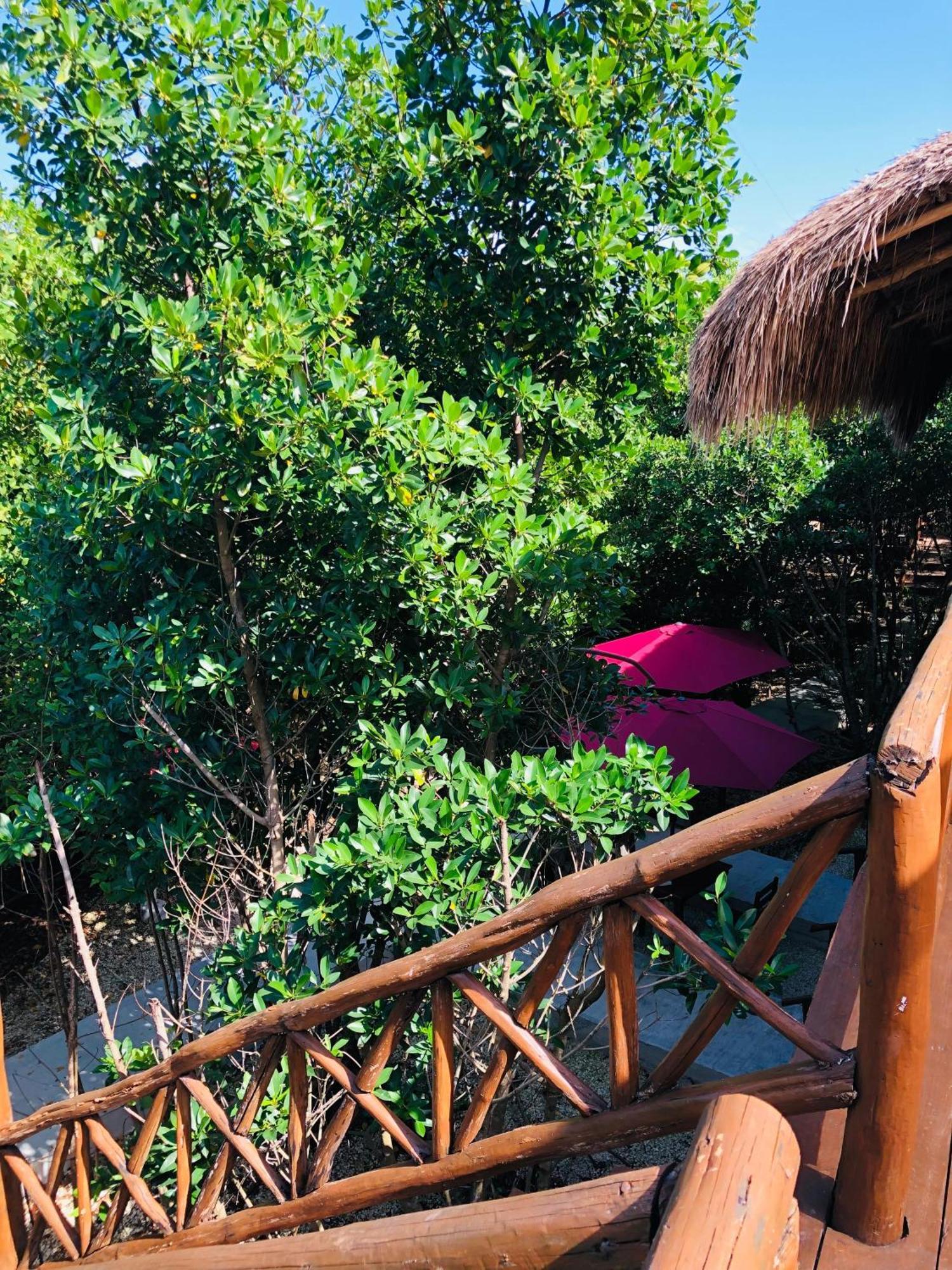Lodge - Aldea Mangle & Cenote Tulum