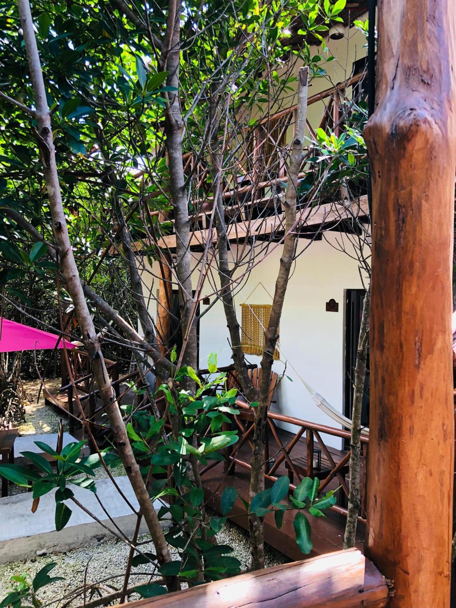 - Aldea Mangle & Cenote Tulum