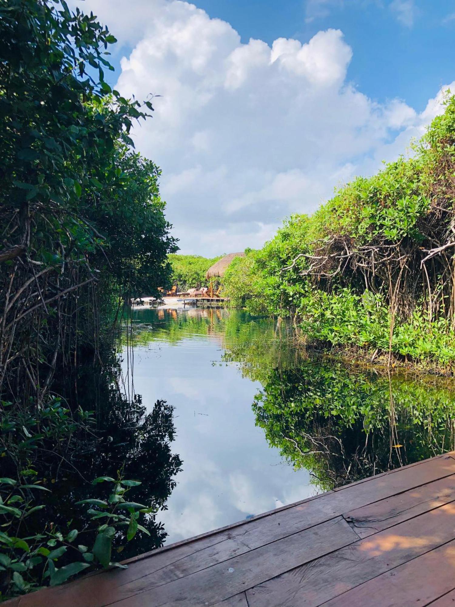 - Aldea Mangle & Cenote * Tulum