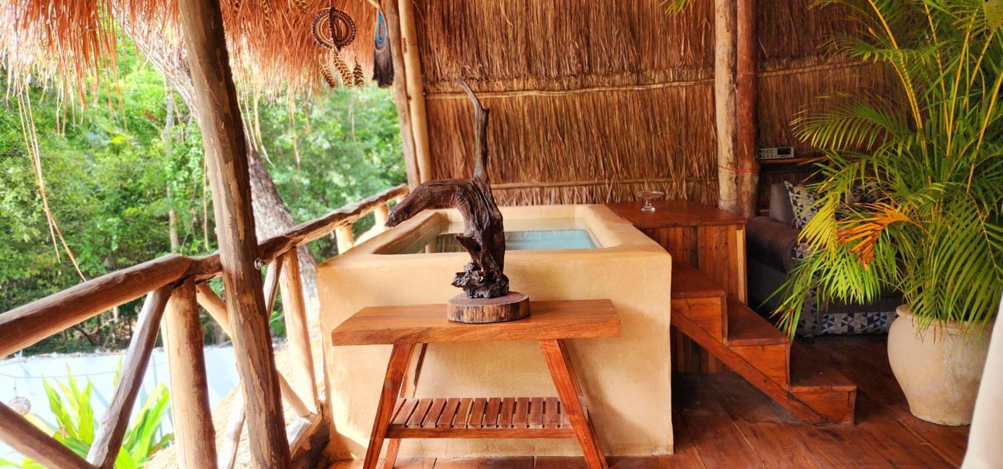 Kin Jungle Deluxe Pensión
