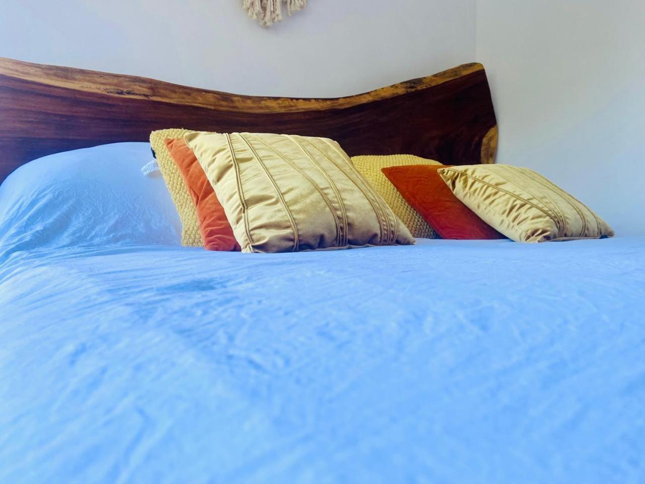 Loft Increíble King Size Alberca Infinita,gym En Medio De La Selva Tulum