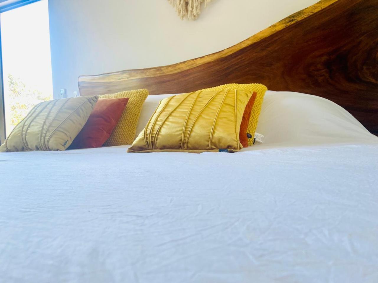 Loft Increíble King Size Alberca Infinita,gym En Medio De La Selva Сasa de vacaciones *